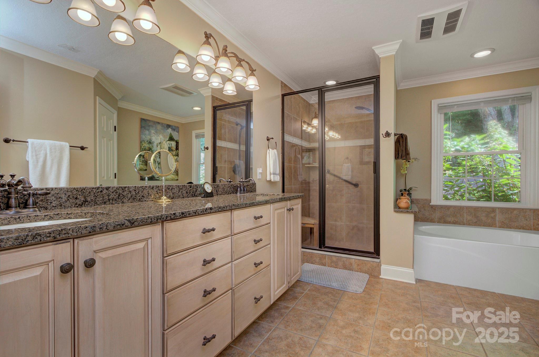 193 Duncan Creek Road Fletcher, NC 28732 - Photo 29 of 48 a bathroom with a granite countertop sink a large mirror and a shower