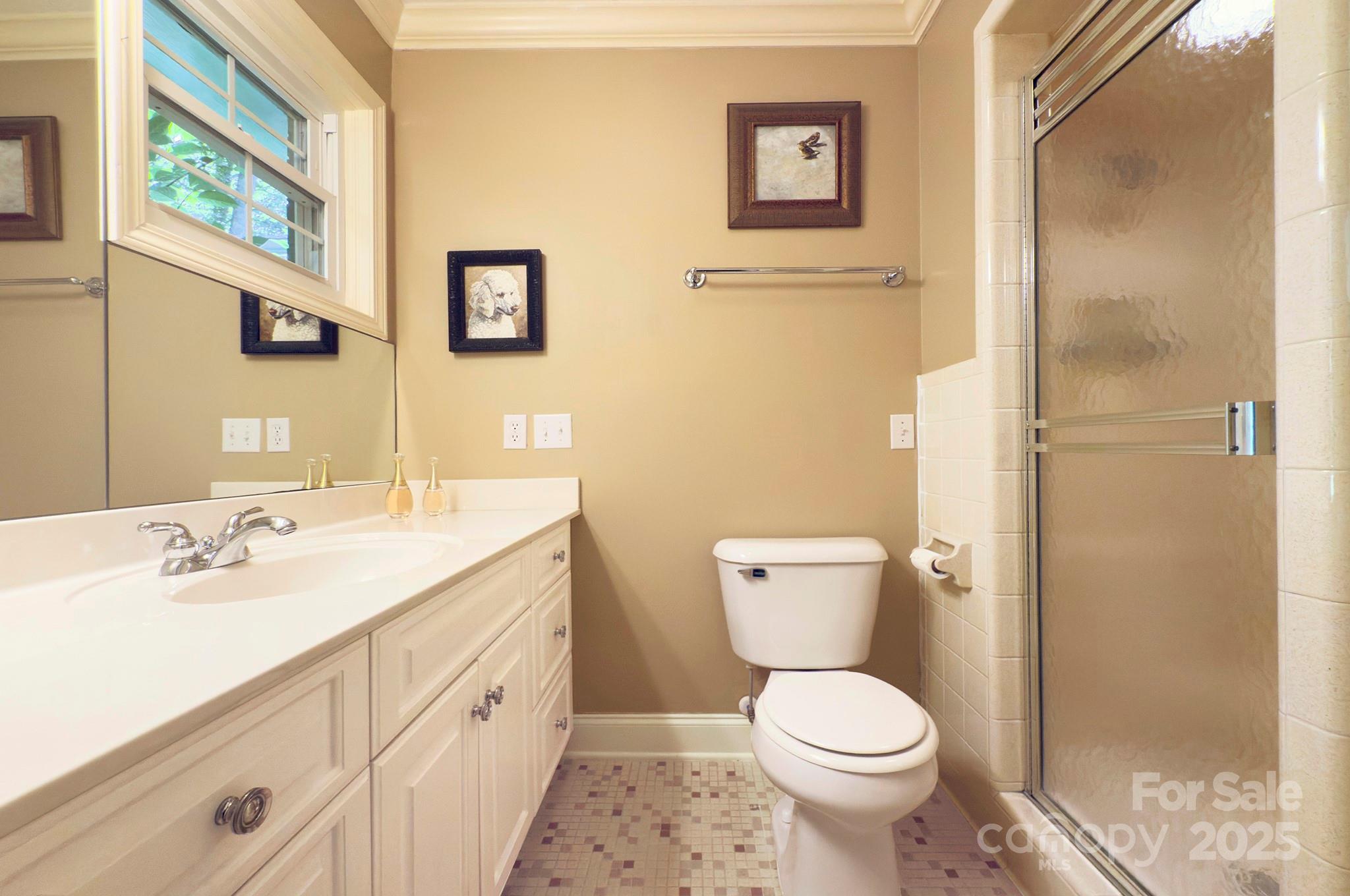193 Duncan Creek Road Fletcher, NC 28732 - Photo 34 of 48 a bathroom with a toilet sink and mirror