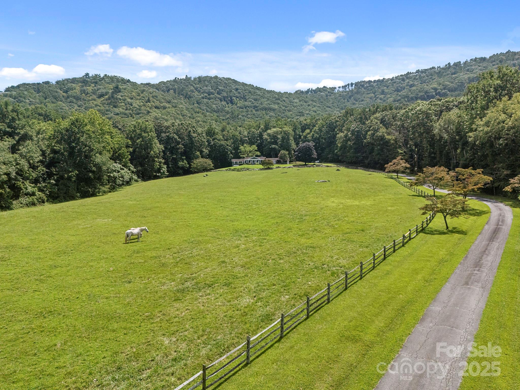193 Duncan Creek Road Fletcher, NC 28732 - Photo 8 of 48 a view of a lake with a mountain