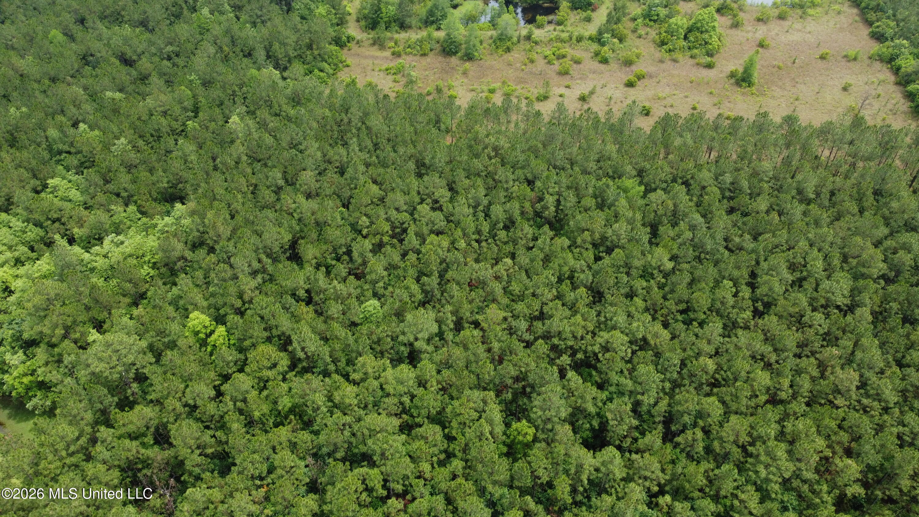 21205 South Fork Road Saucier, MS 39574 - Photo 12 of 23 dji_fly_20260521_140646_395_177939043114