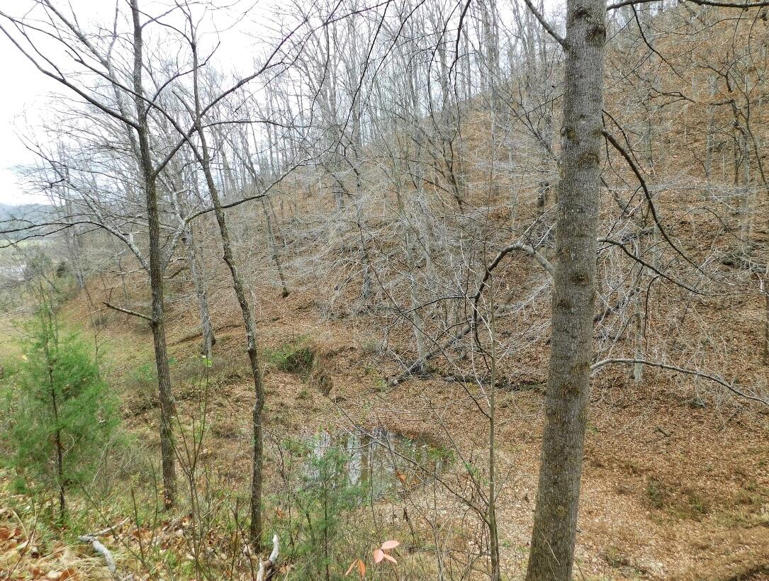 8690 Beattyville Road Jackson, KY 41339 - Photo 115 of 143 1023FC72-14DC-4D5E-B2CA-4C16CE40FEB1