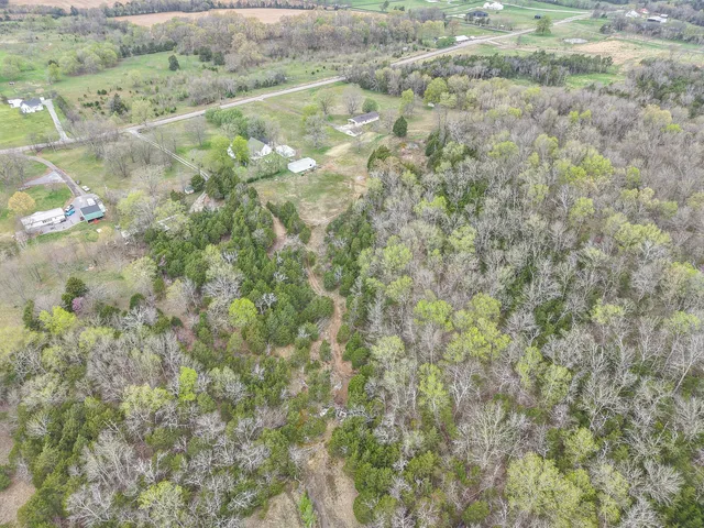 a picture of a field with trees in the background