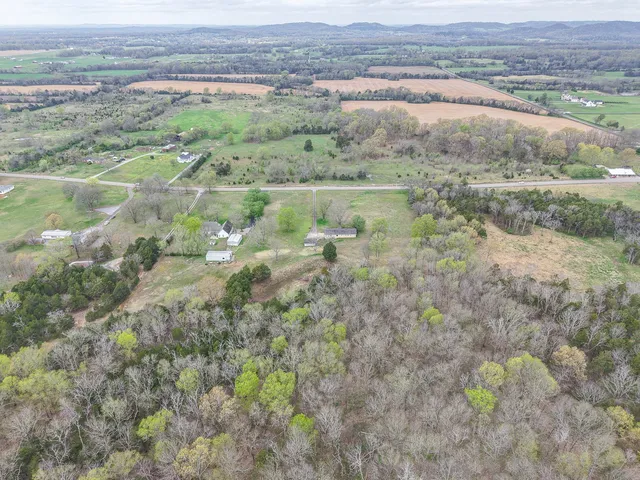 a close up of a plant in a garden