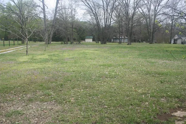 a view of outdoor space with trees all around