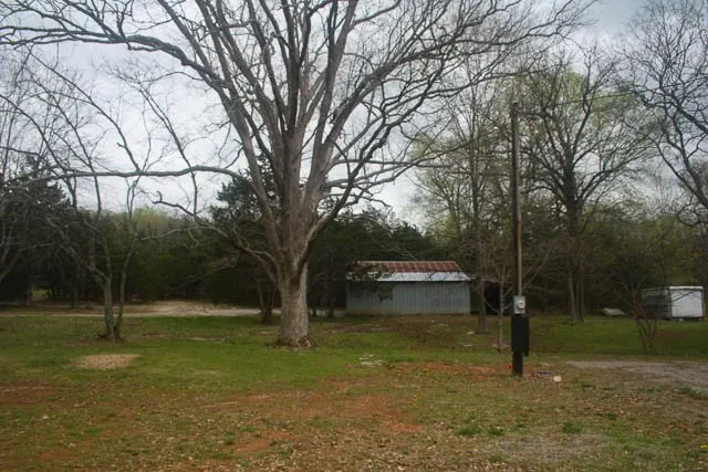 a view of a park with large trees
