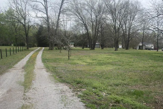 a view of a yard with a fountain