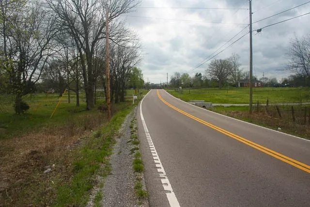 a view of a lake with a yard and a large tree