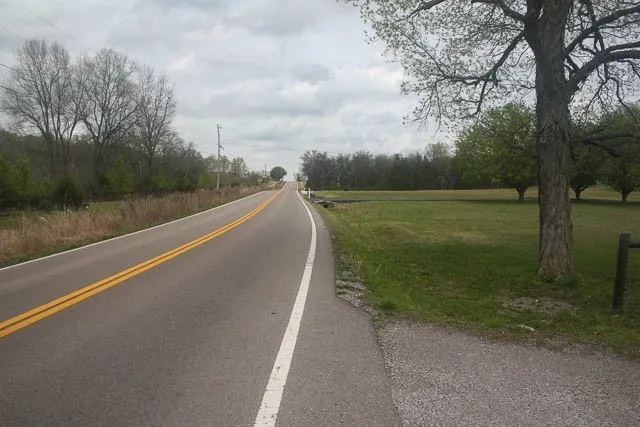 a view of a trees in a park