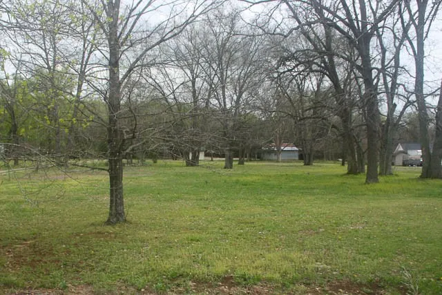 a view of a grassy field with trees