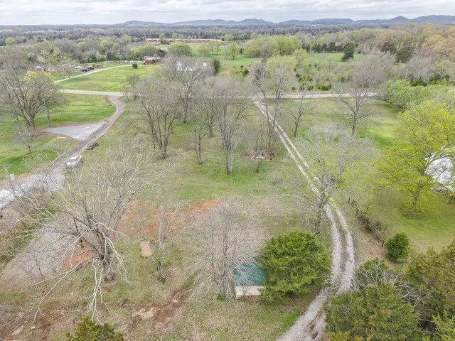 a view of a house with a tree