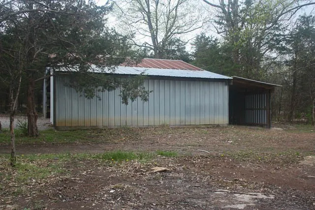 a view of a yard with plants