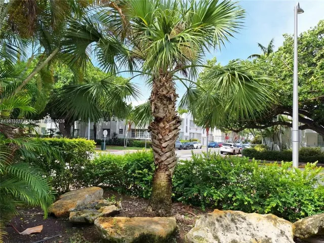a couple of palm trees sitting in a backyard of a house