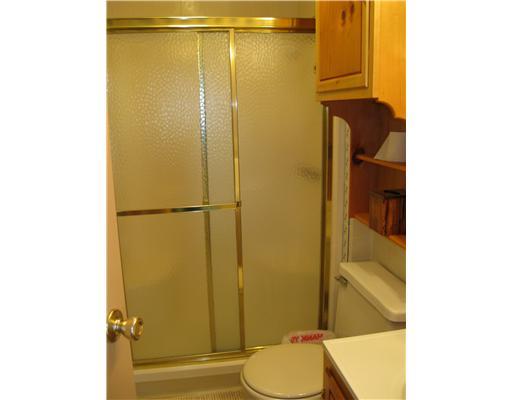 371 Cemetery Road Perryopolis, PA 15473 - Photo 14 of 18 Master Bath/Spa.