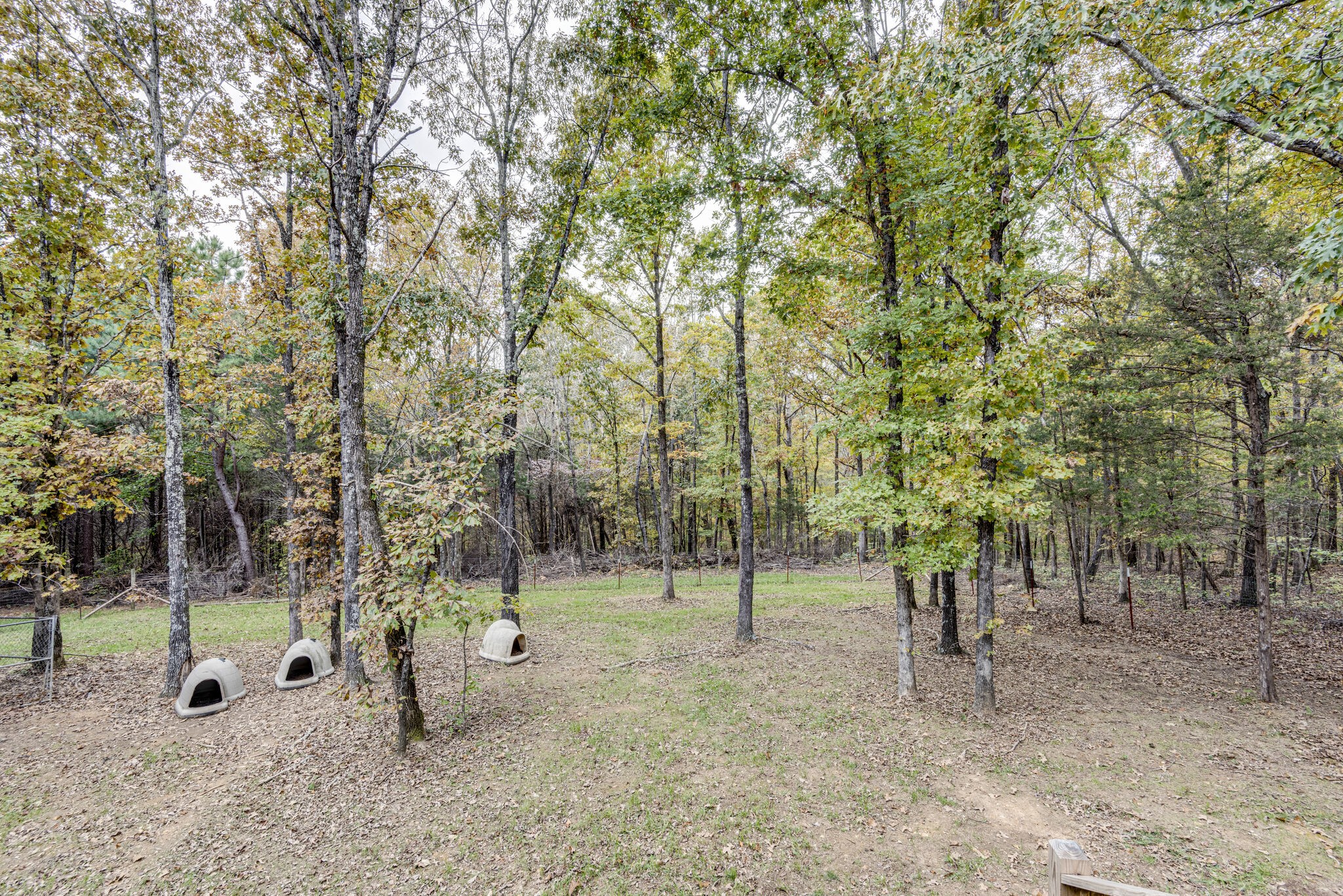 663 Promise Land Road Charlotte, TN 37036 - Photo 22 of 26 Gallery Image 22