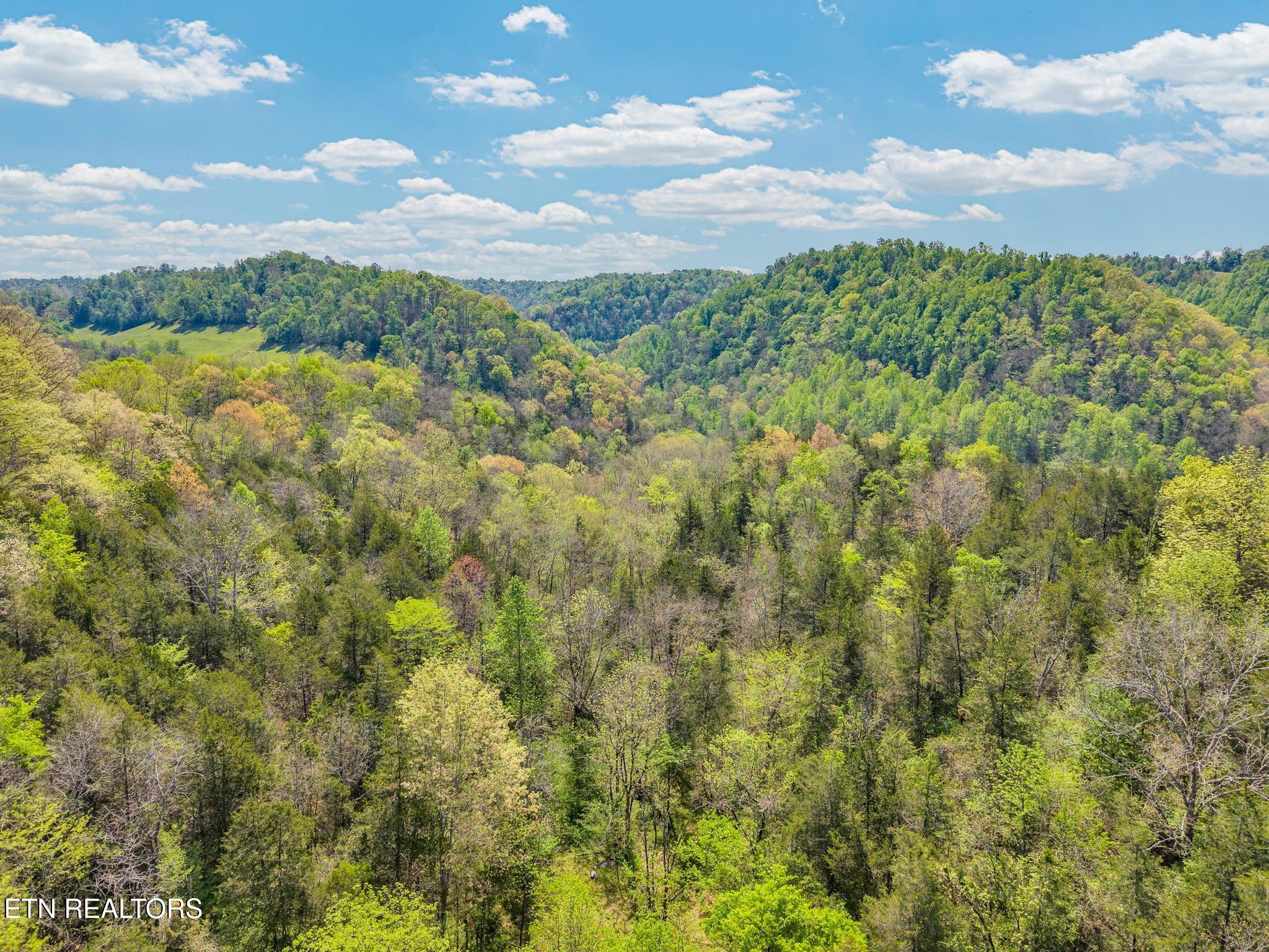 1848 Bruce Ridge Road Baxter, TN 38544 - Photo 19 of 39 1848 Bruce Ridge Rd-12 (2)