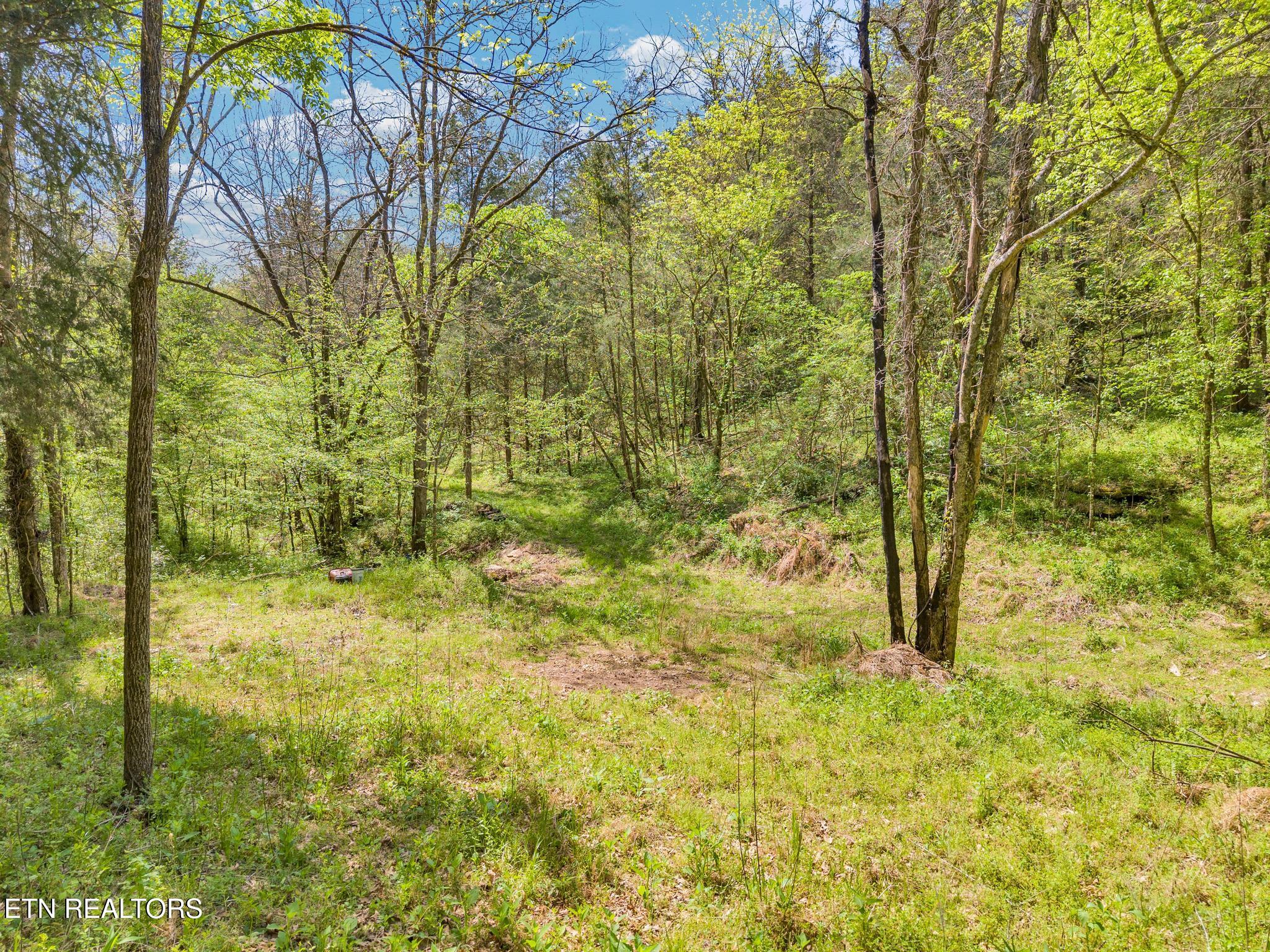 1848 Bruce Ridge Road Baxter, TN 38544 - Photo 20 of 39 1848 Bruce Ridge Rd-6 (1)