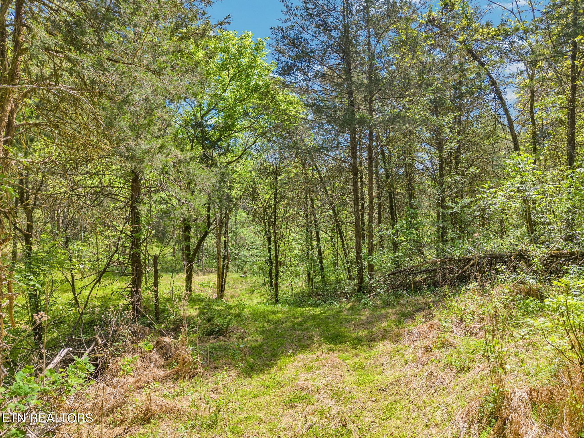 1848 Bruce Ridge Road Baxter, TN 38544 - Photo 21 of 39 1848 Bruce Ridge Rd-5 (1)