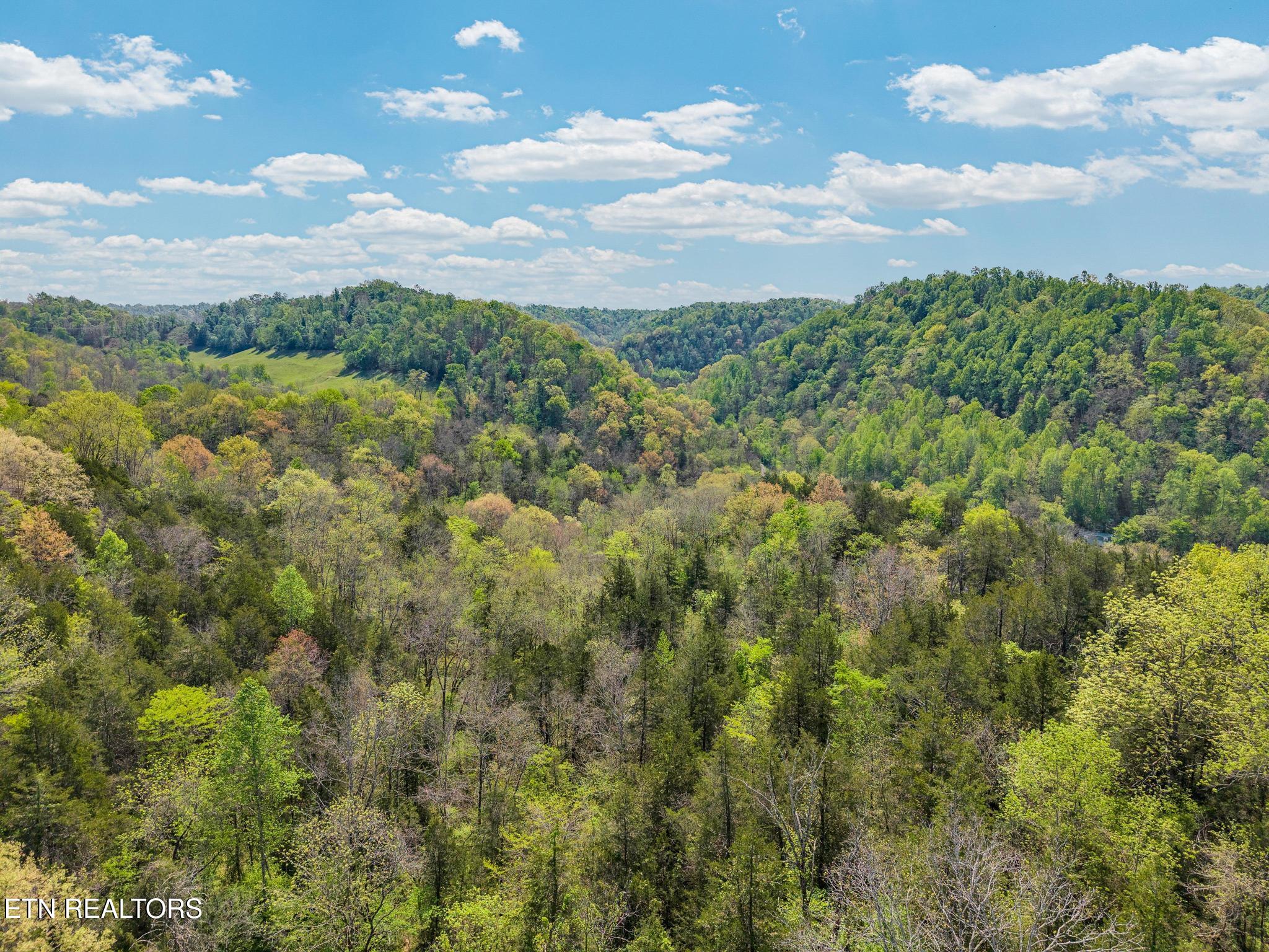 1848 Bruce Ridge Road Baxter, TN 38544 - Photo 27 of 39 1848 Bruce Ridge Rd-11 (1)