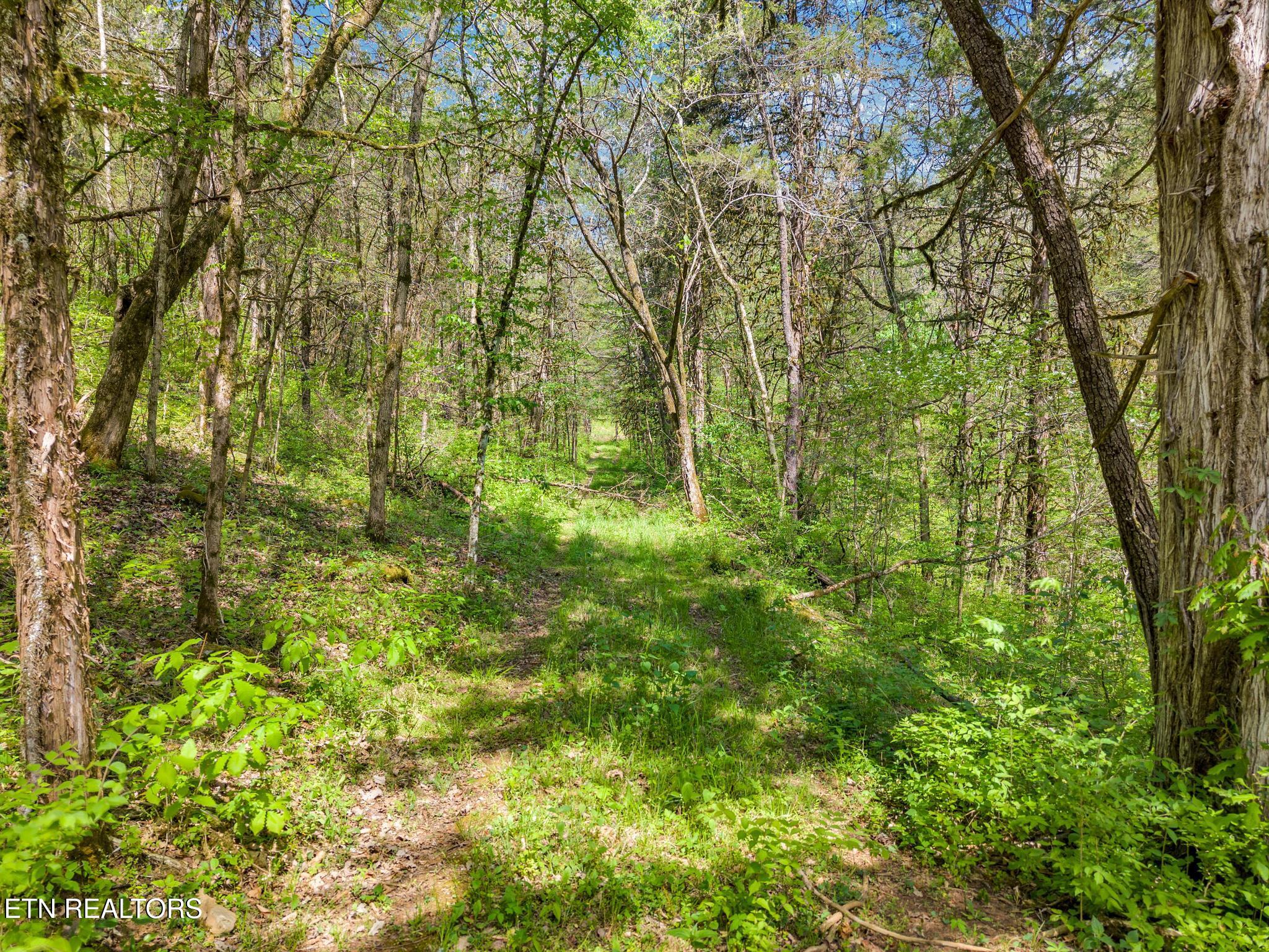 1848 Bruce Ridge Road Baxter, TN 38544 - Photo 28 of 39 1848 Bruce Ridge Rd-7 (1)