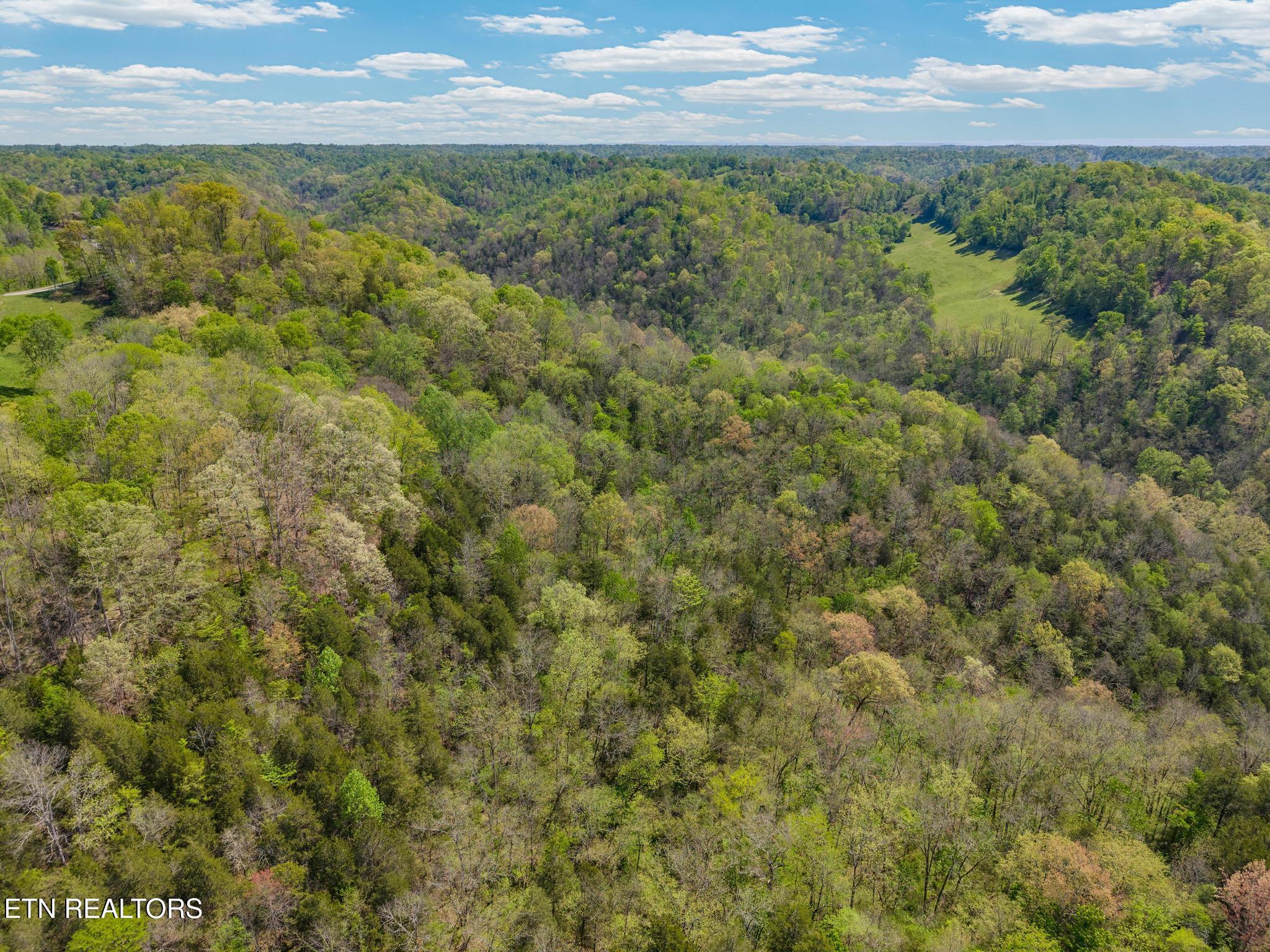 1848 Bruce Ridge Road Baxter, TN 38544 - Photo 30 of 39 1848 Bruce Ridge Rd-4