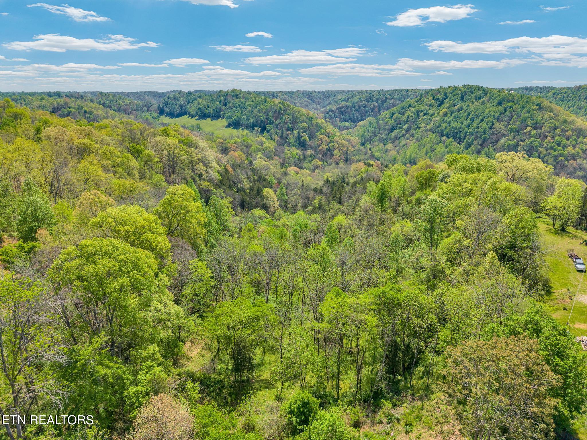 1848 Bruce Ridge Road Baxter, TN 38544 - Photo 31 of 39 1848 Bruce Ridge Rd-13 (1)