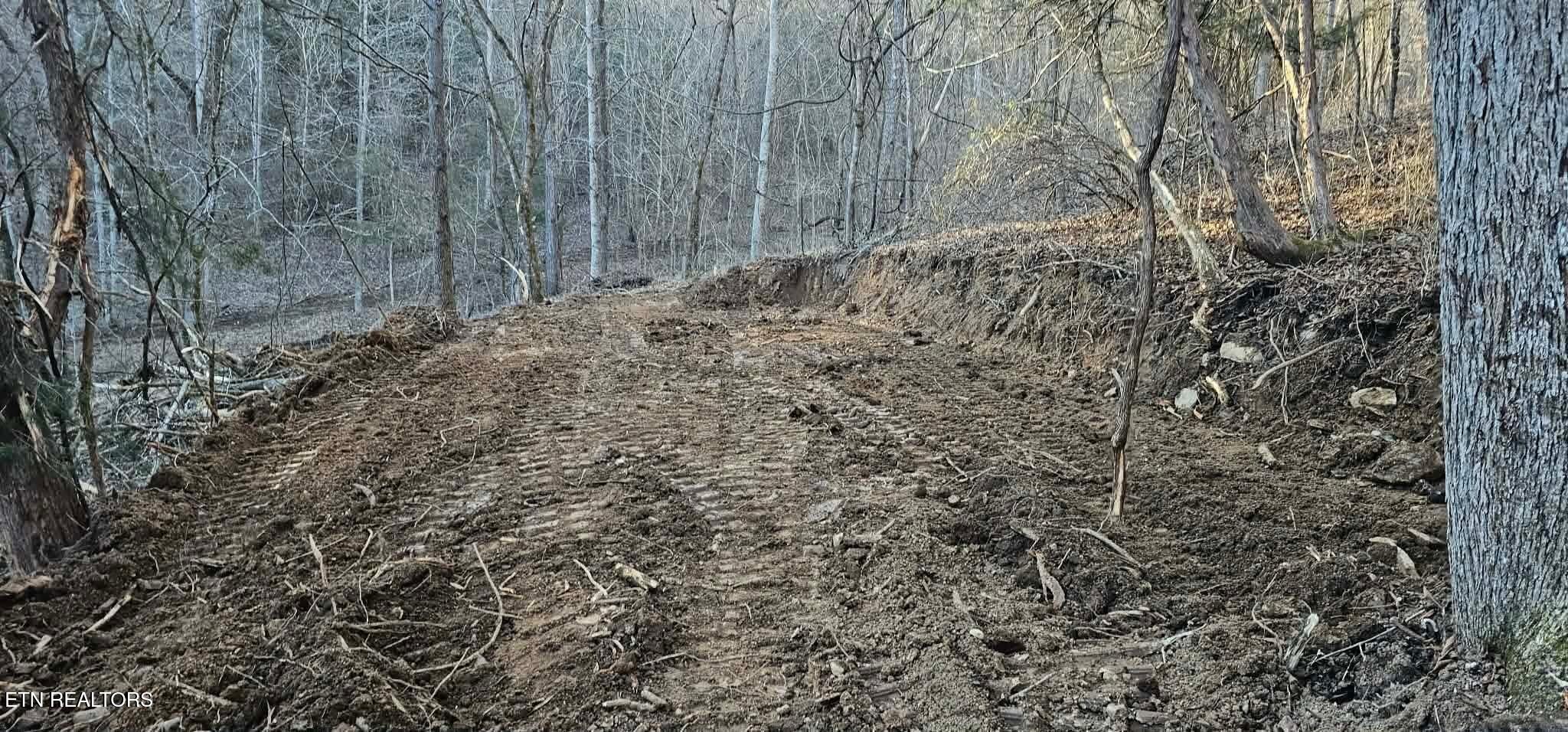 1848 Bruce Ridge Road Baxter, TN 38544 - Photo 33 of 39 6dc3d36adb48b6f7897193bbb2c70765