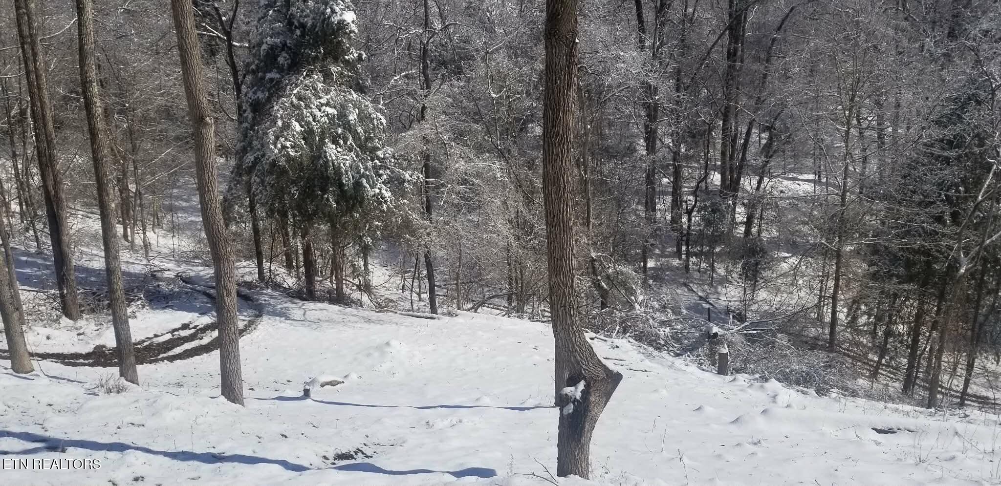 1848 Bruce Ridge Road Baxter, TN 38544 - Photo 36 of 39 879f82c5bb17b8bce5dbe299b0e6f167