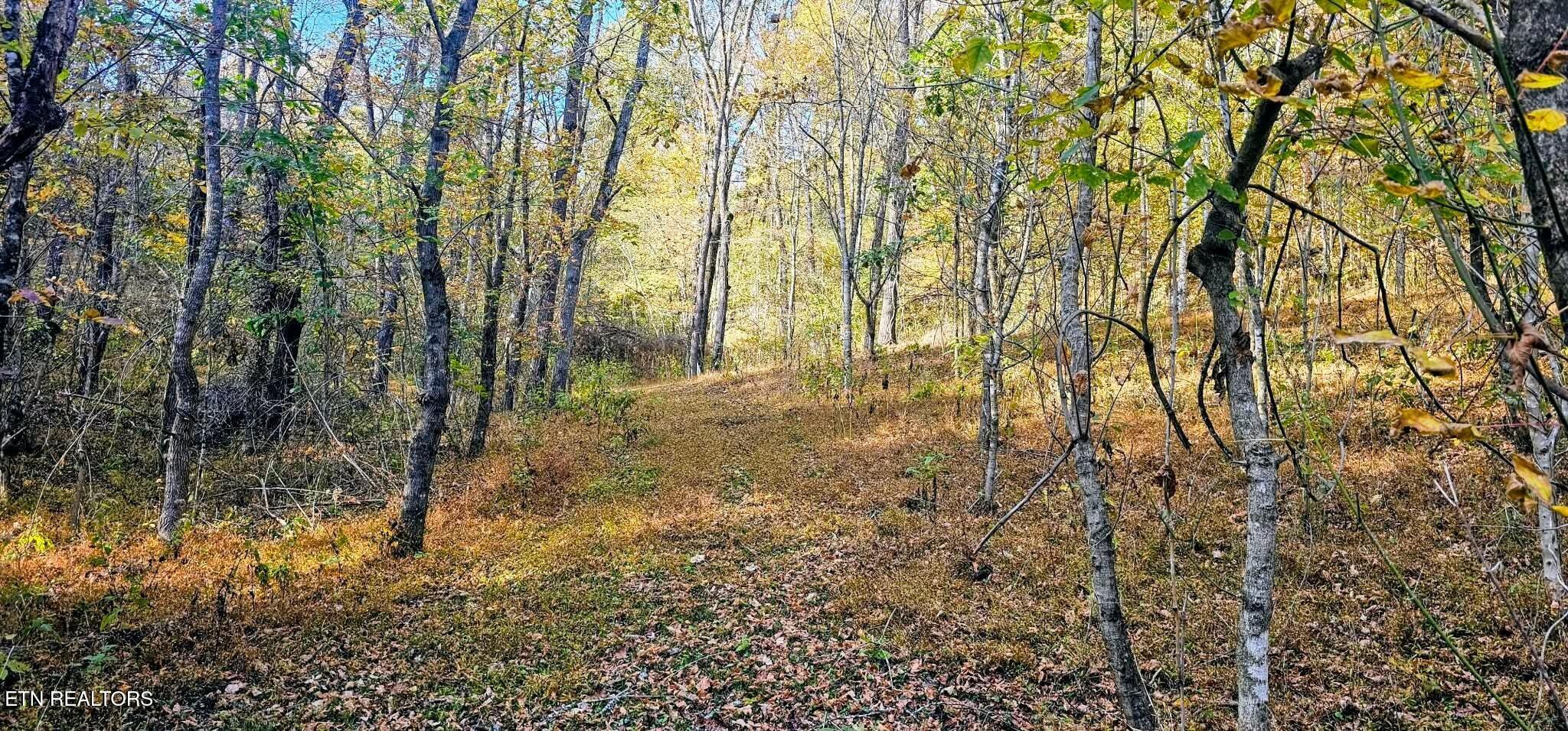 1848 Bruce Ridge Road Baxter, TN 38544 - Photo 37 of 39 39b6713044e4b670841ccd77c5bc16f7