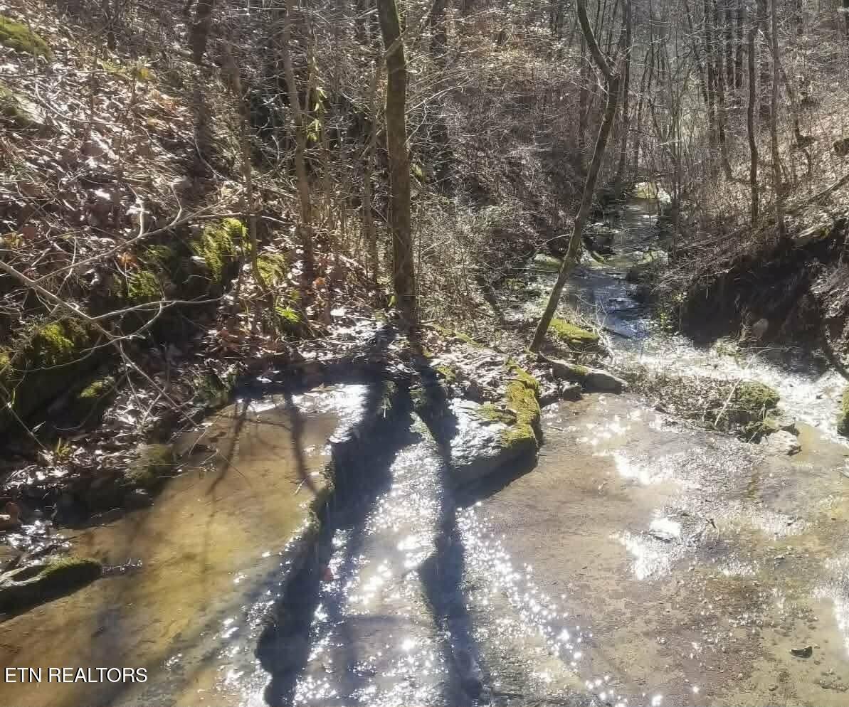 1848 Bruce Ridge Road Baxter, TN 38544 - Photo 38 of 39 170d92d1929d4e962d84c915c16dd0d7