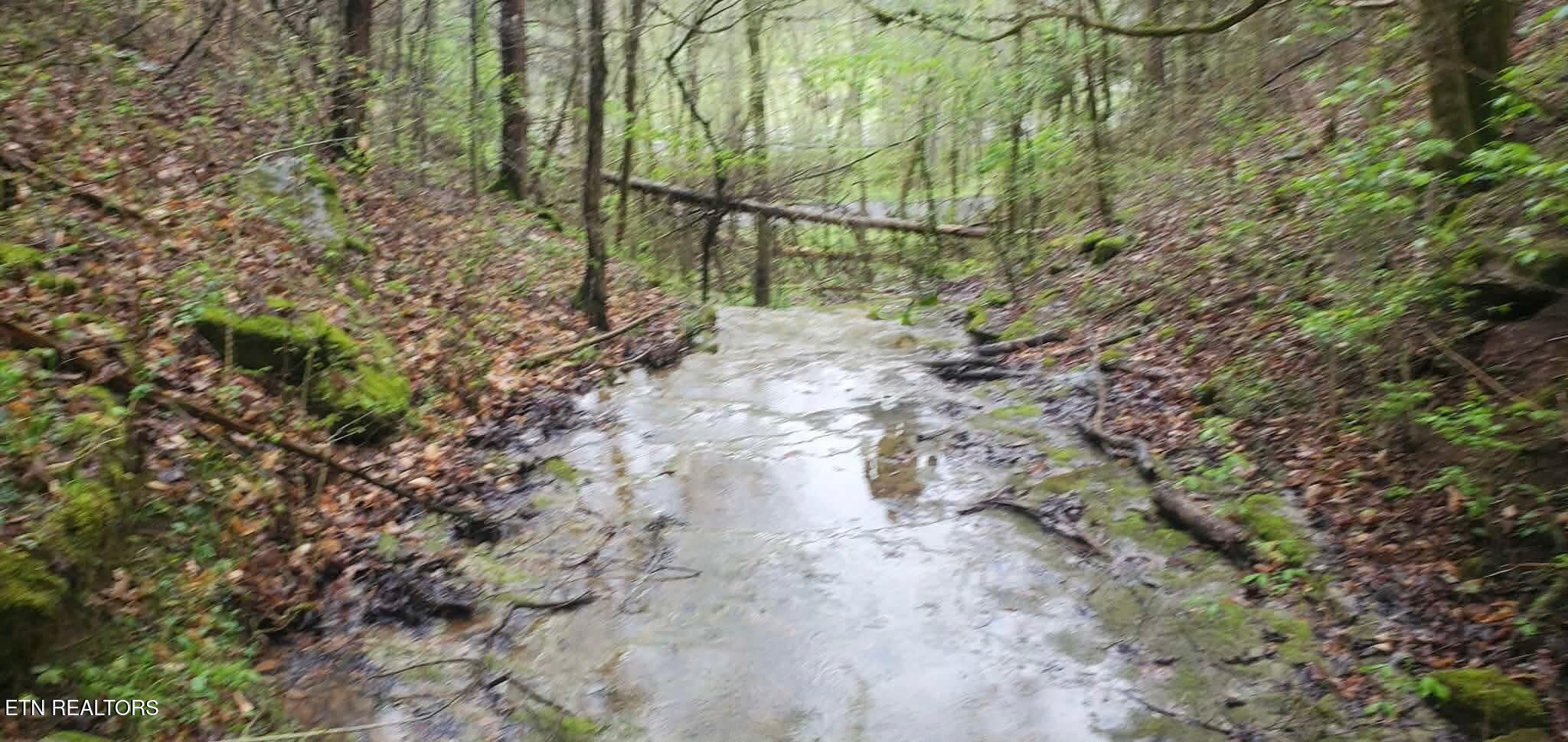 1848 Bruce Ridge Road Baxter, TN 38544 - Photo 39 of 39 d4dfa3ea8c73f42de0271bff2ae805eb