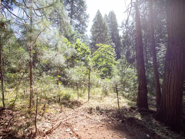 a view of a yard with wooden fence
