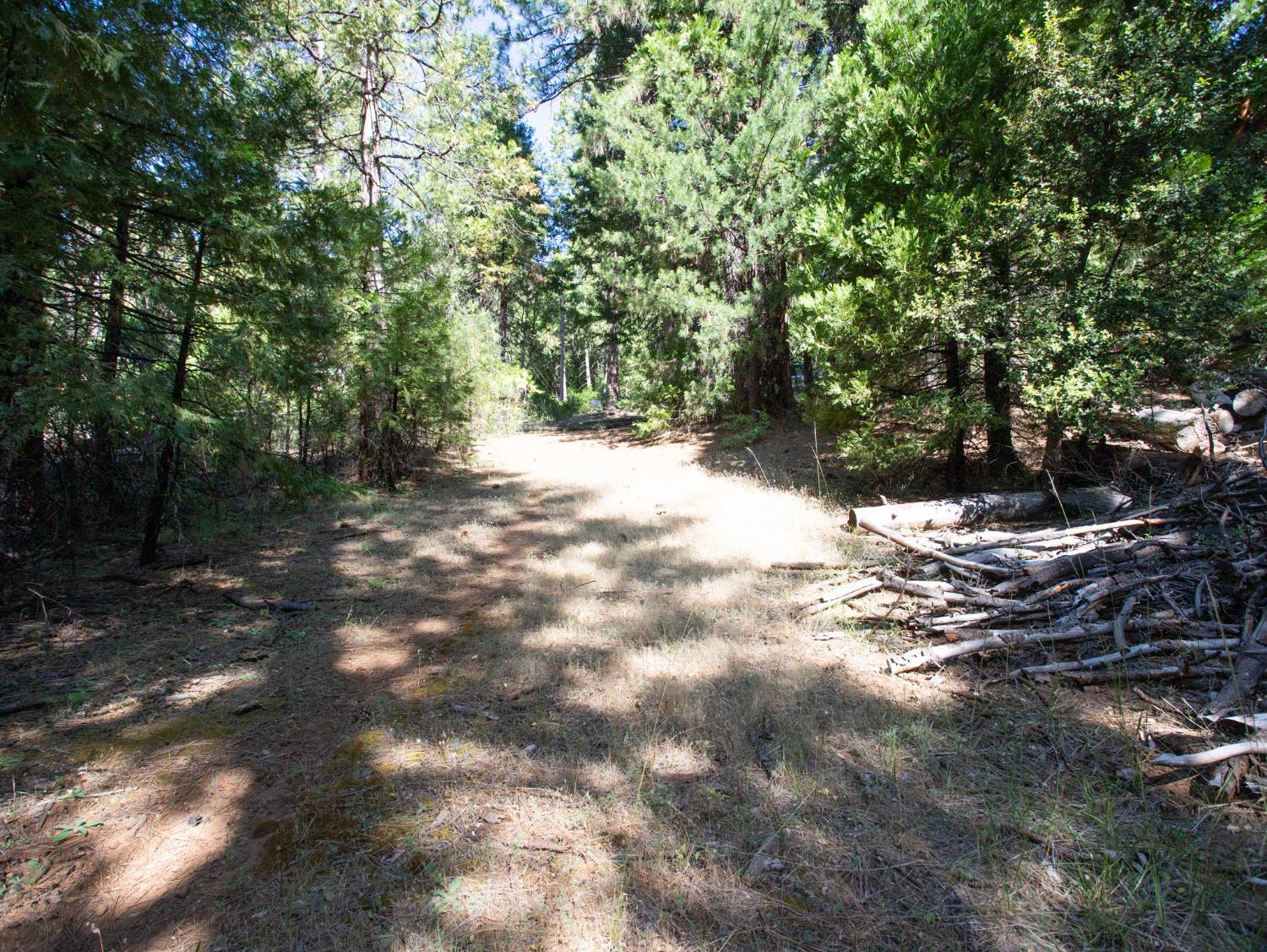 0 Spring Court Pioneer, CA 95666 - Photo 17 of 28