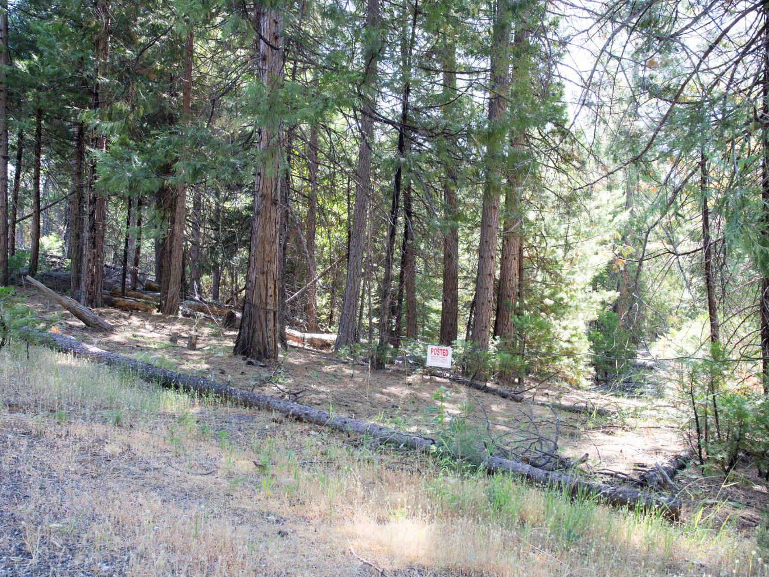 0 Spring Court Pioneer, CA 95666 - Photo 20 of 28 a backyard of a house with lots of green space