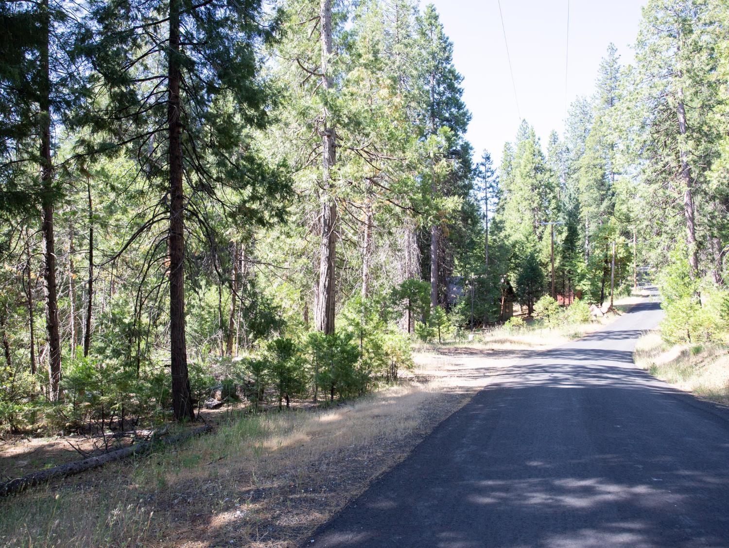 0 Spring Court Pioneer, CA 95666 - Photo 2 of 28 a view of a yard with plants and trees