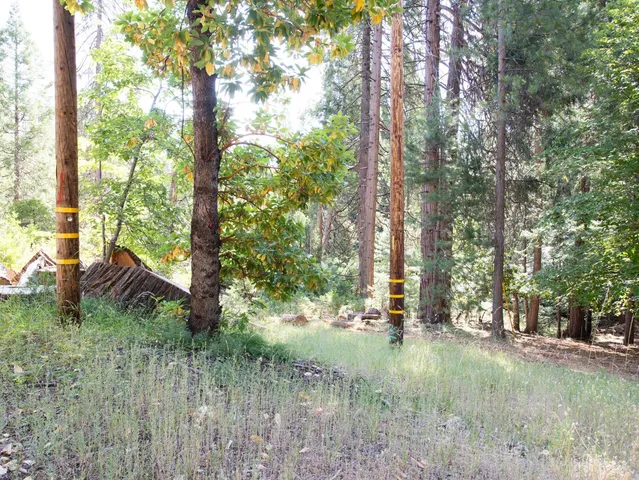 a backyard of a house with trees