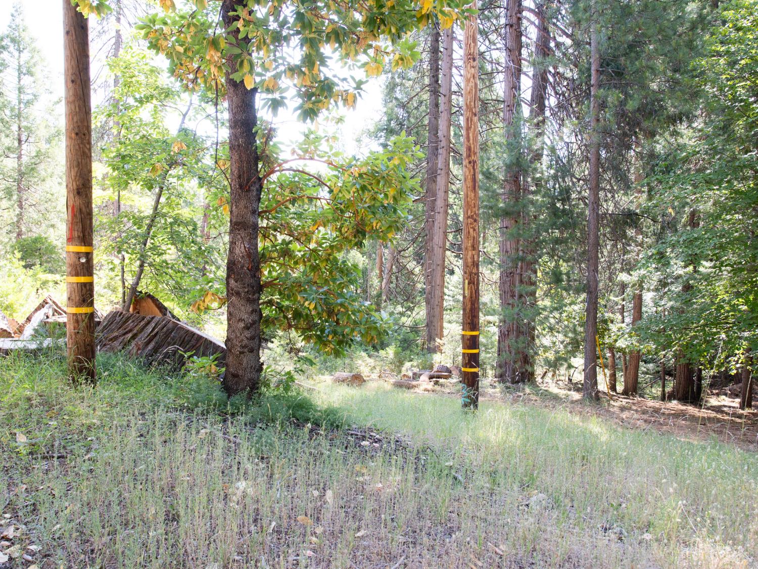 0 Spring Court Pioneer, CA 95666 - Photo 21 of 28 a view of outdoor space and yard