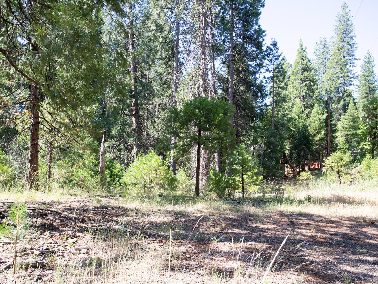 0 Spring Court Pioneer, CA 95666 - Photo 24 of 28 a backyard of a house with trees