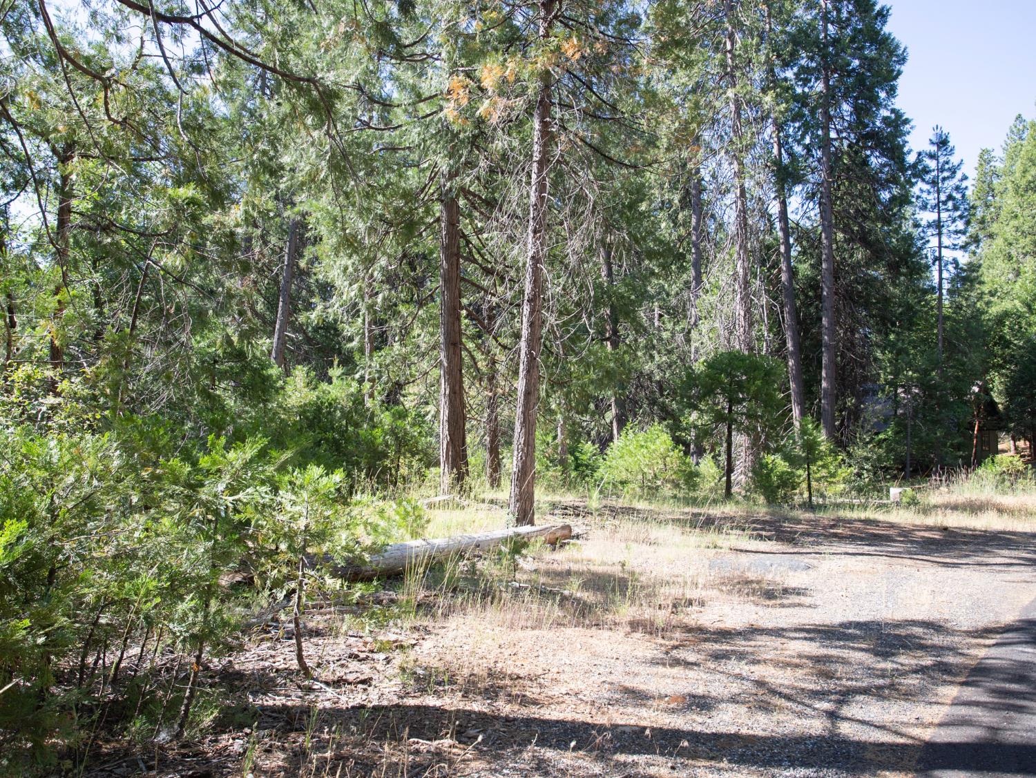 0 Spring Court Pioneer, CA 95666 - Photo 26 of 28 a view of a yard with a tree