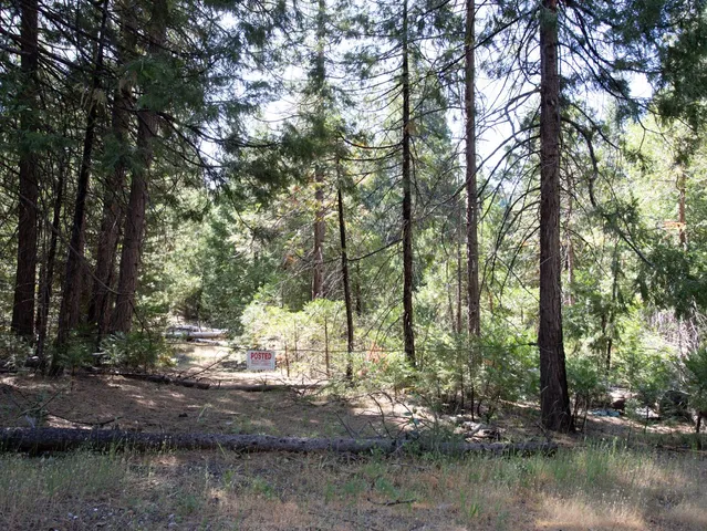 a view of a lake with trees