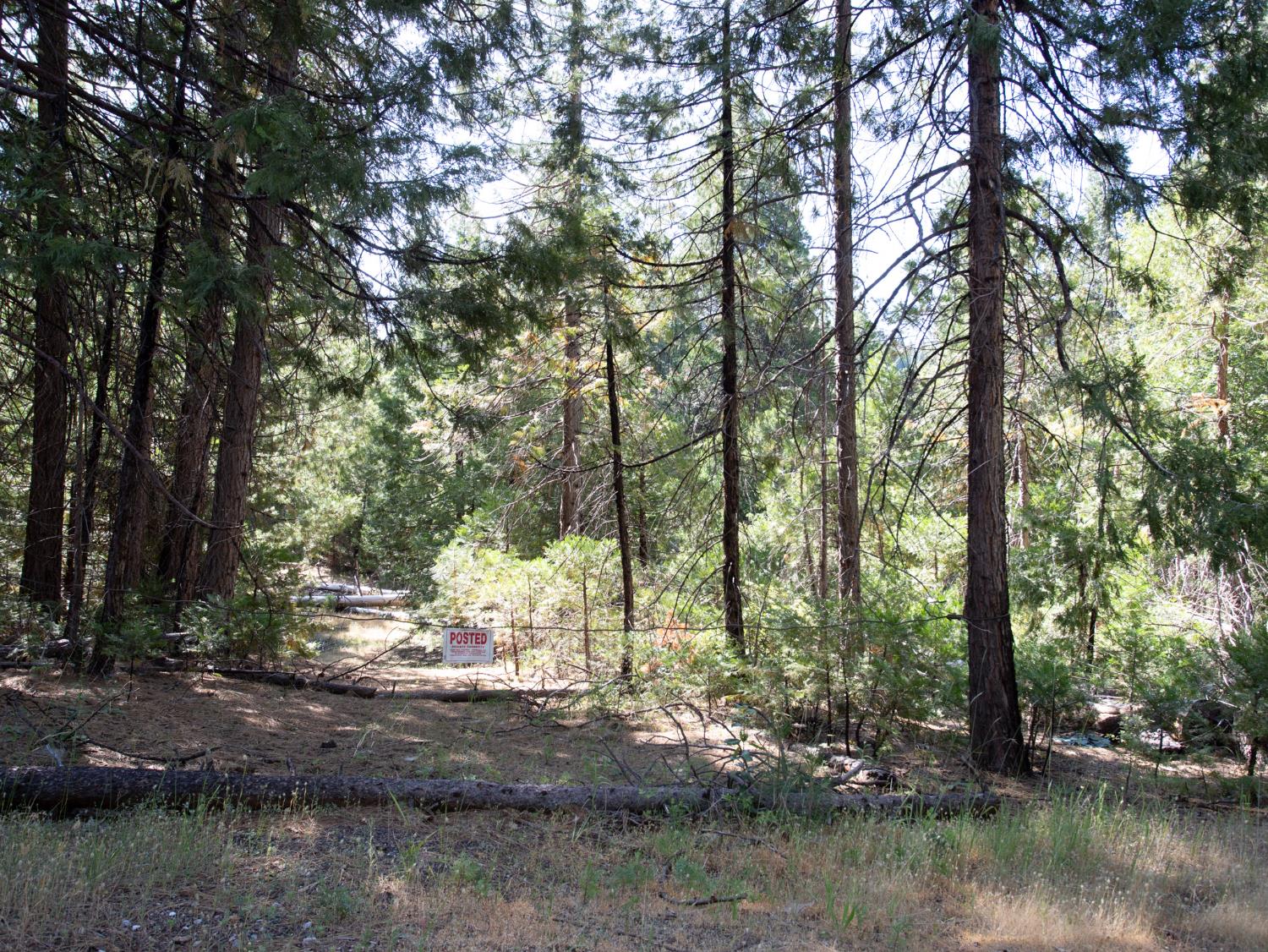 0 Spring Court Pioneer, CA 95666 - Photo 3 of 28 a view of a lake with trees