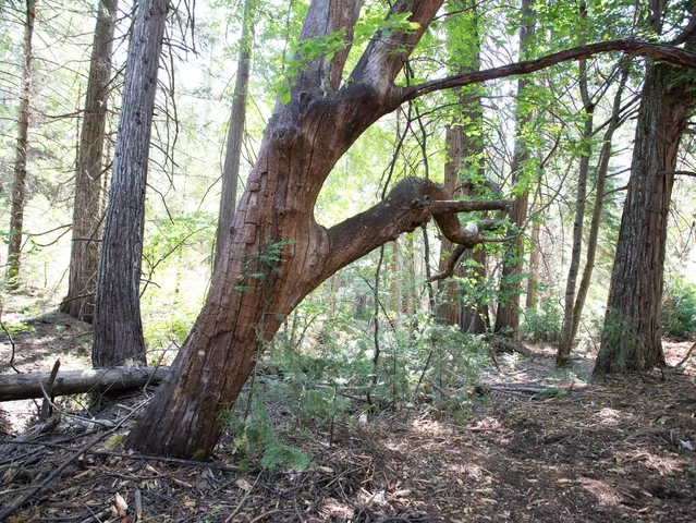 a view of outdoor space and green space