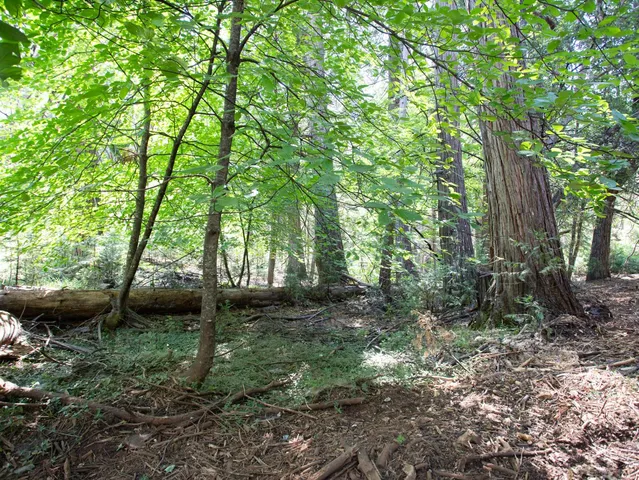 a backyard of a house with lots of green space