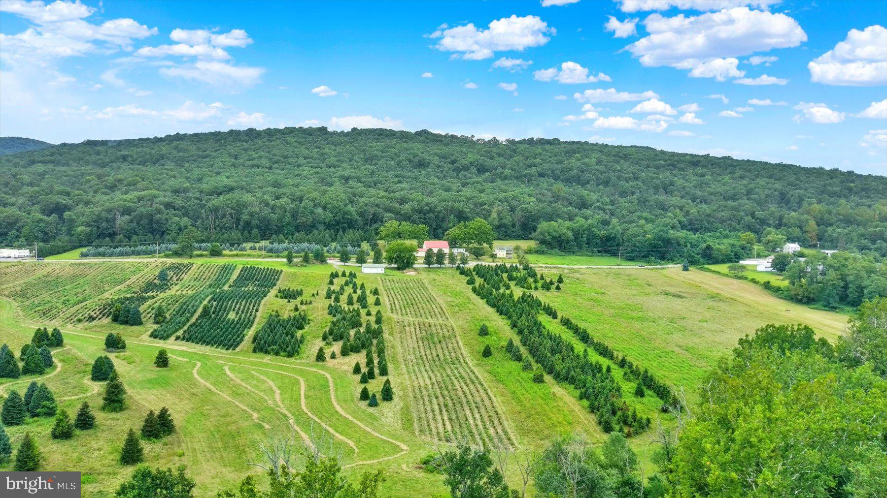 235 Camp Ground Road Dillsburg, PA 17019 - Photo 1 of 61