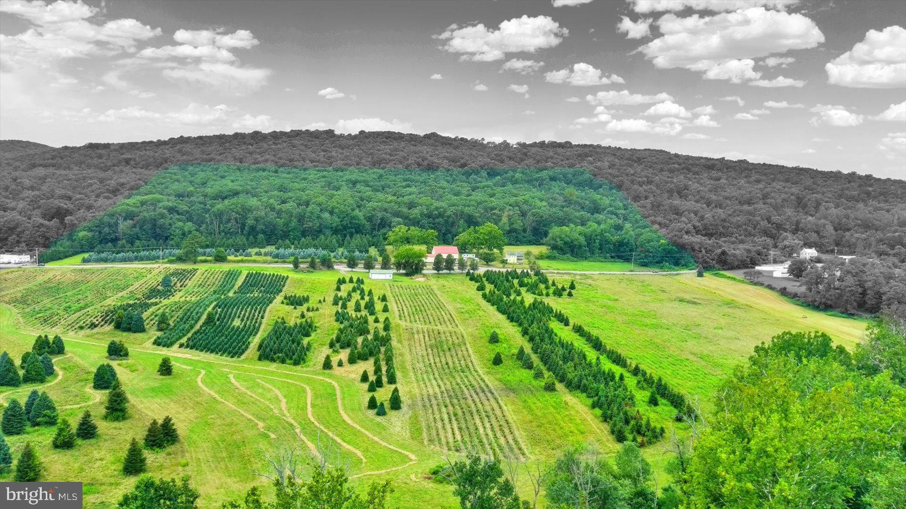 235 Camp Ground Road Dillsburg, PA 17019 - Photo 22 of 61 a view of an aerial view of an houses with a yard