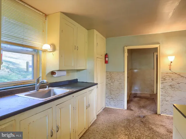 a bathroom with a sink a mirror and a shower