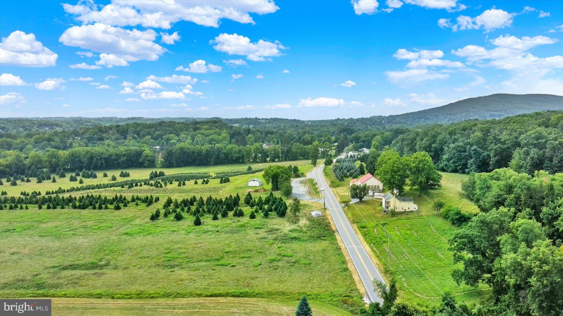 235 Camp Ground Road Dillsburg, PA 17019 - Photo 5 of 61 a view of a golf course with a tree