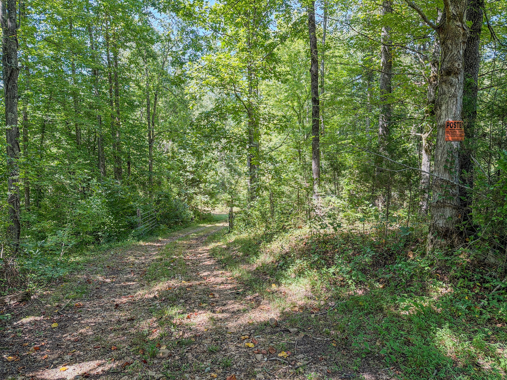 2195 Whiteoak Road East Linden, TN 37096 - Photo 39 of 56 Gallery Image 39