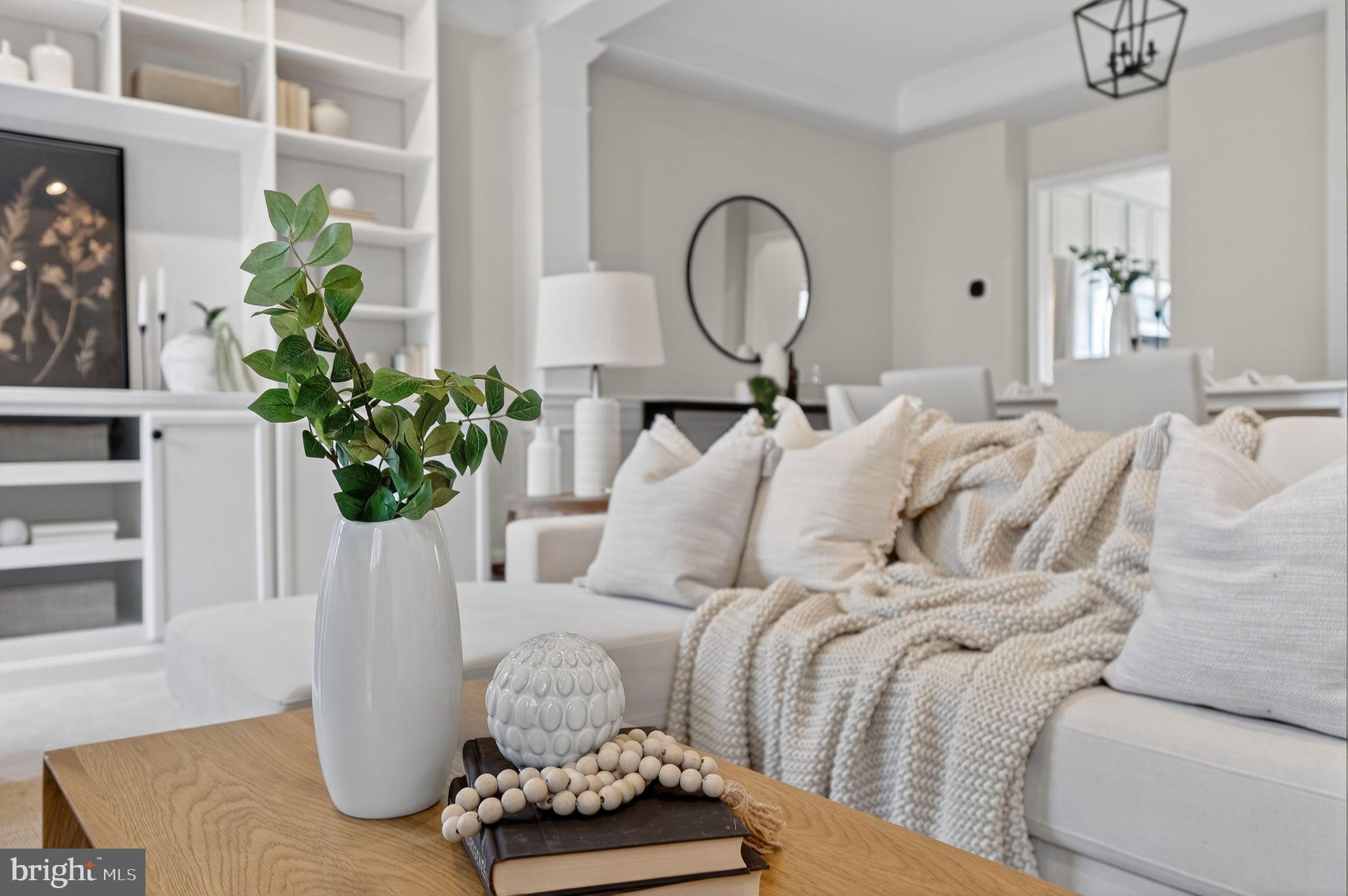 47610 Watkins Island Square Sterling, VA 20165 - Photo 5 of 48 a living room with furniture flowerpot and a potted plant