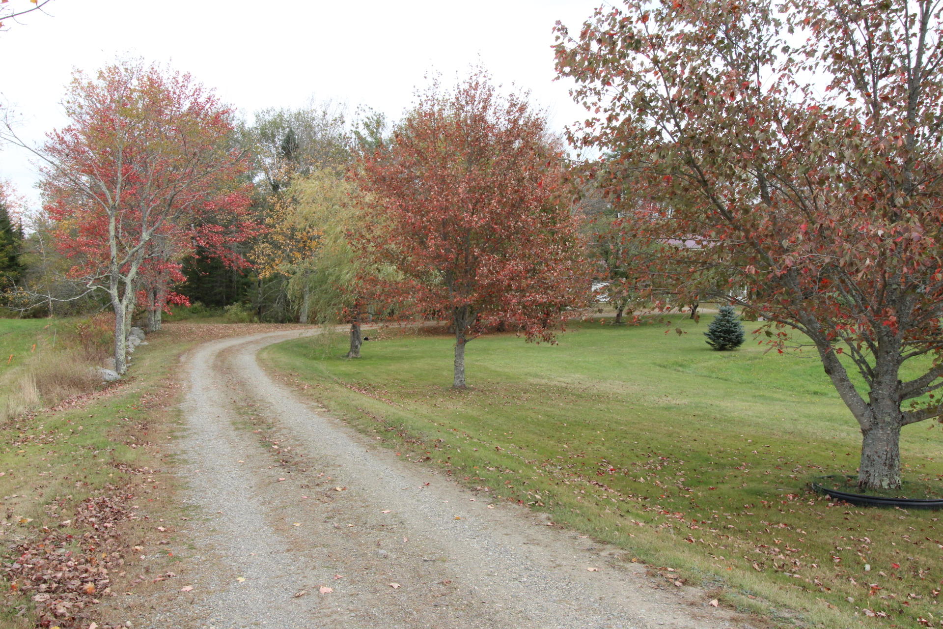 93 Birches Road Waldo, ME 04915 - Photo 45 of 47 93 bIRCHES RD wALDO (21)