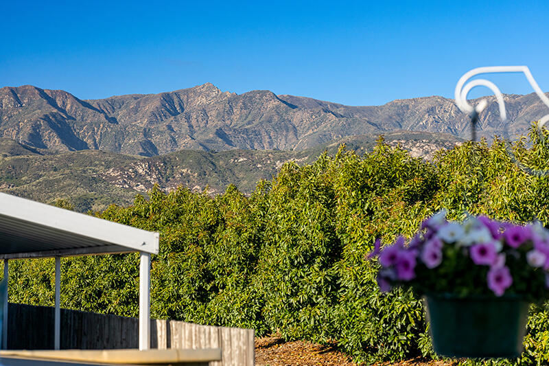 5750 Via Real, Unit 204 Carpinteria, CA 93013 - Photo 27 of 29 05-Mountain view
